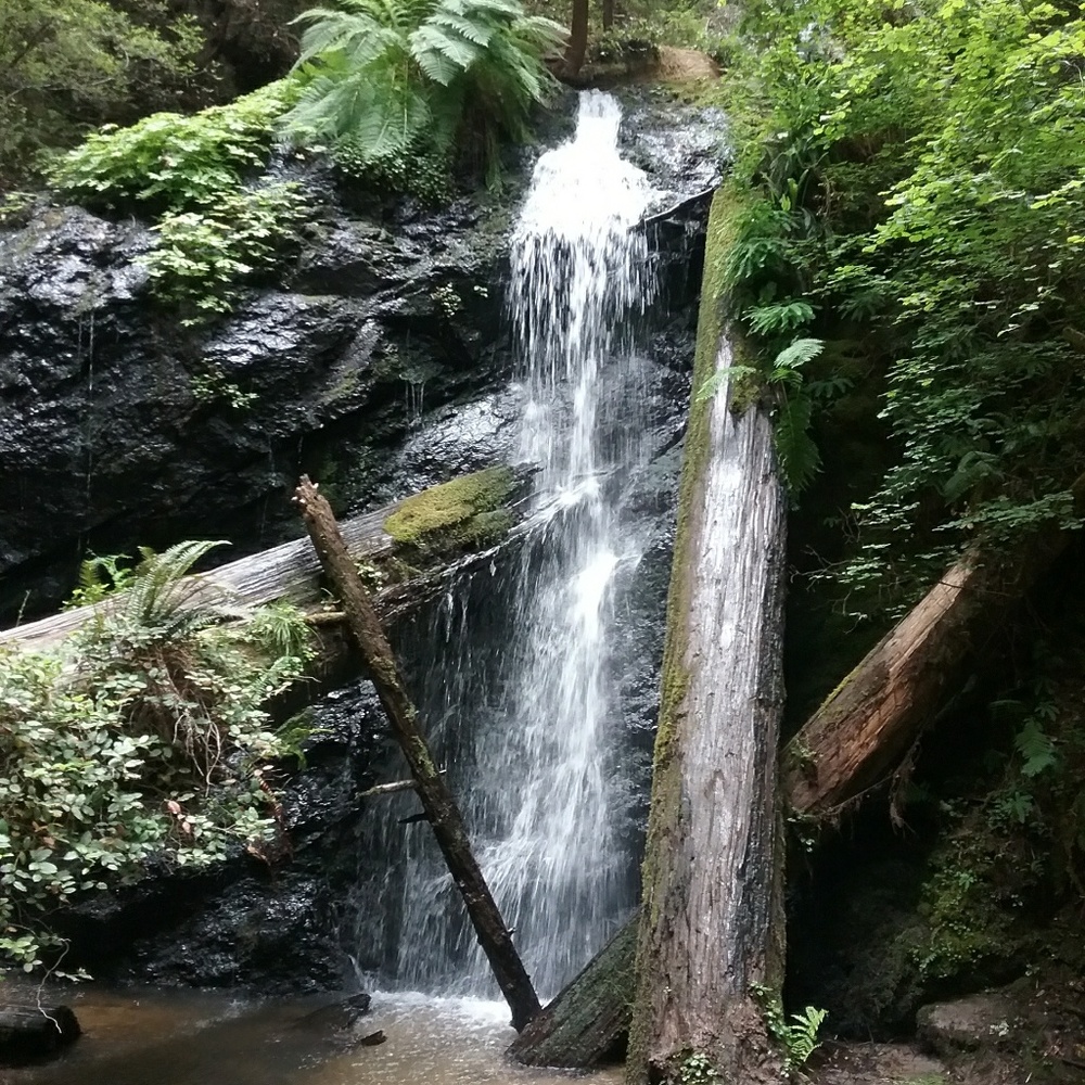 Meet your Posher, Sandy